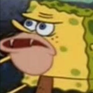 Meet your Posher, Reese